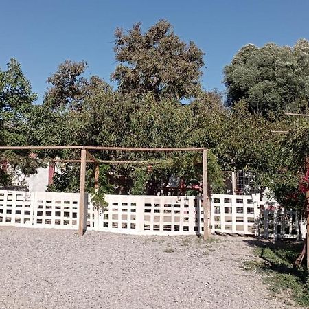 Hostal El Colibri Vicuña Esterno foto